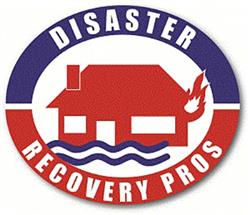 Disaster Recovery Pros